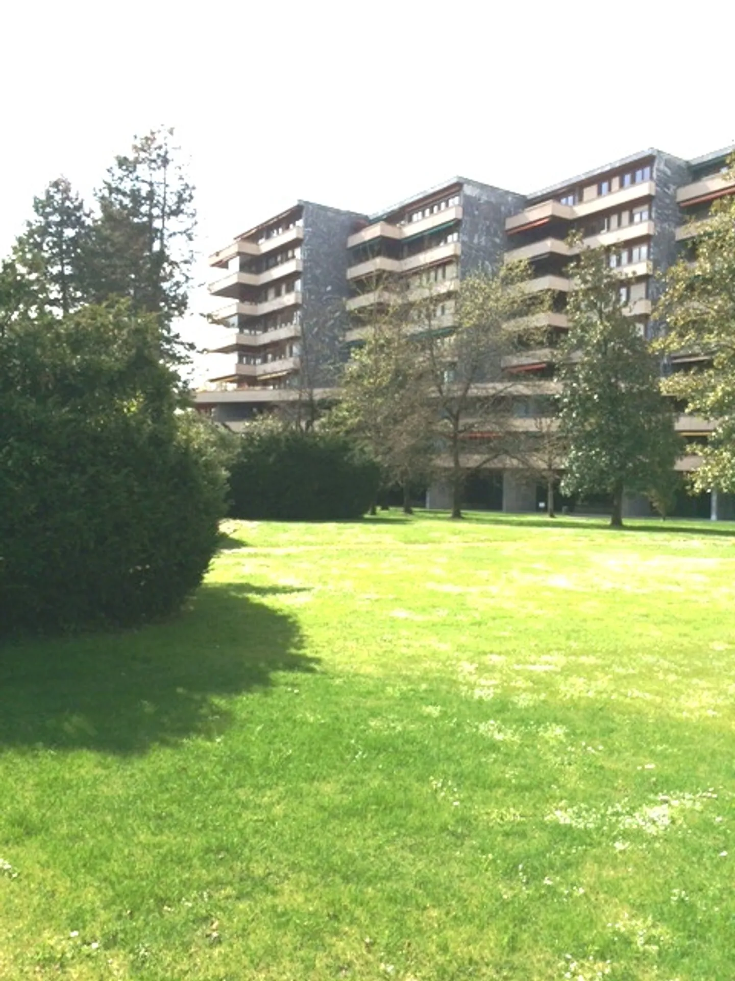 3-room apartment - Photo 4 of 4