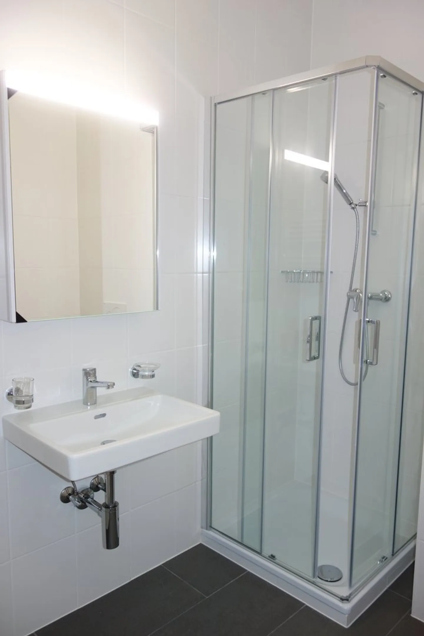 Eaux-Vives vicino al lago - Foto 8 di 10