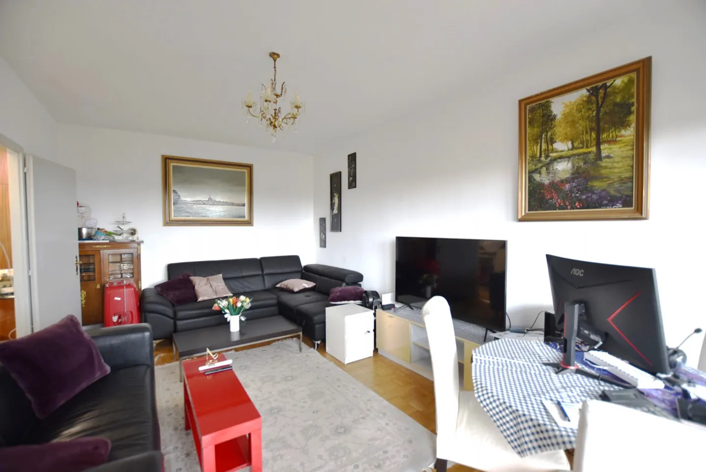 Comfortable Furnished Apartment in Thônex - Photo 2 of 5