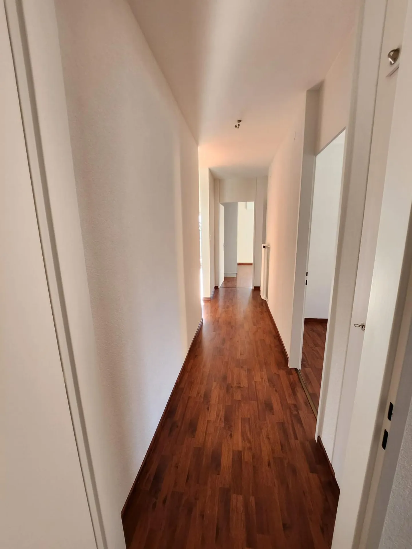 Renoviertes 4.5-Zimmer-Apartment - Foto 8 von 9