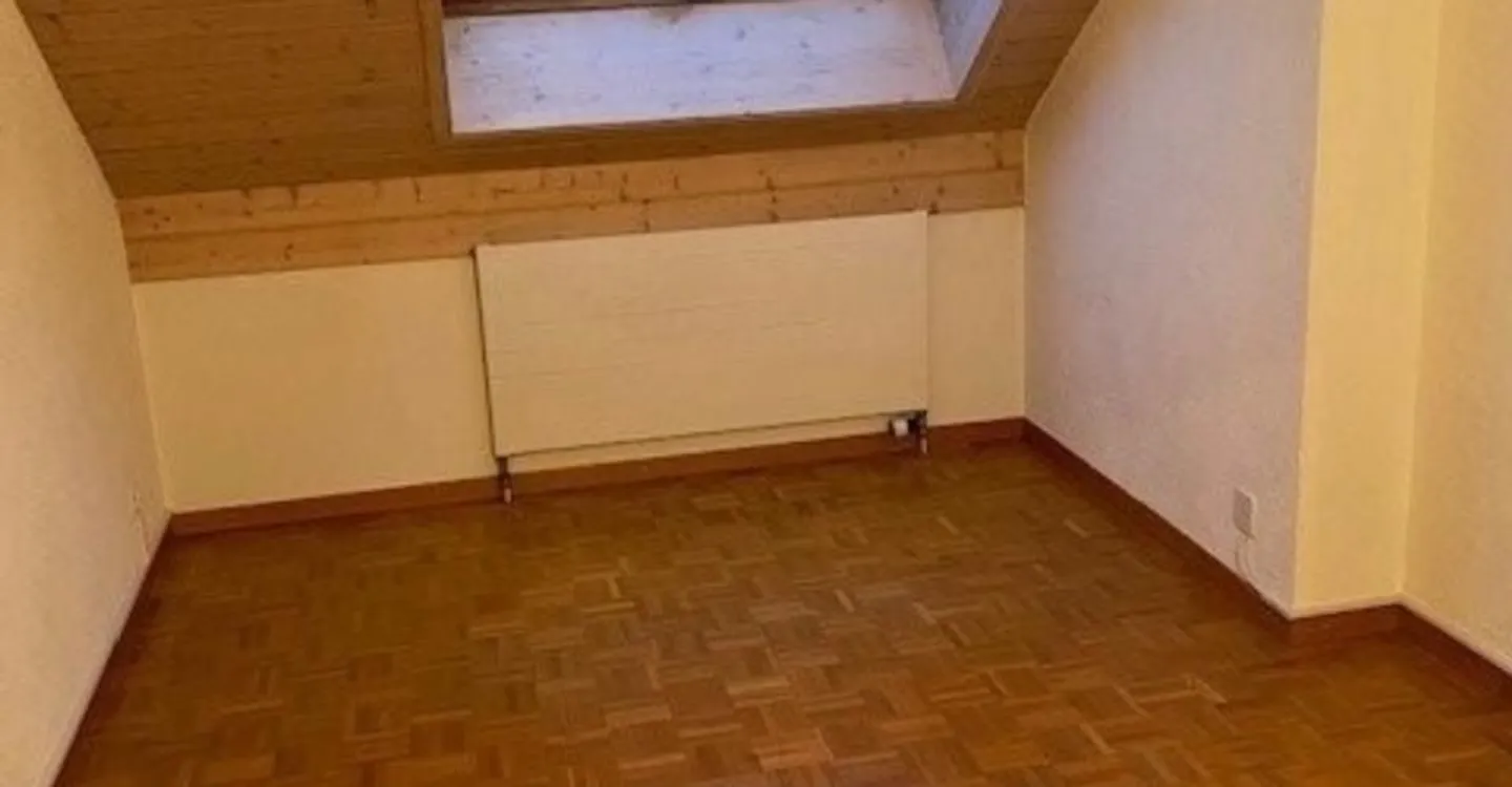 Charmant Appartement Sous Les Toits à Genève - Photo 4 sur 7