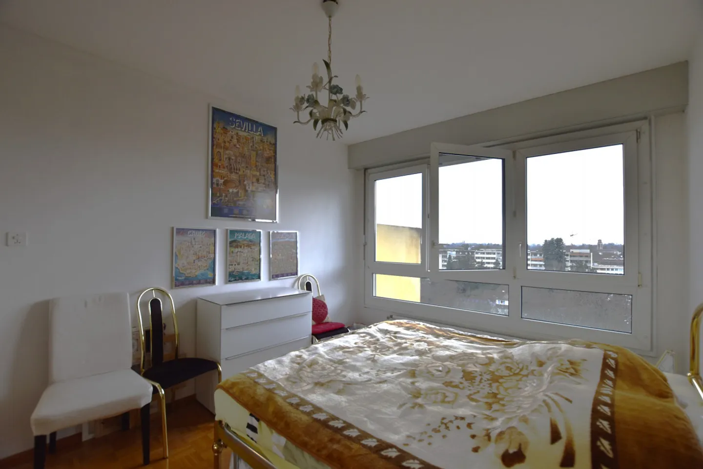 Comfortable Furnished Apartment in Thônex - Photo 4 of 5