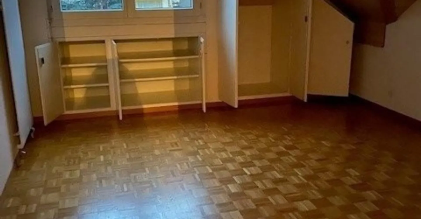 Charmant Appartement Sous Les Toits à Genève - Photo 5 sur 7