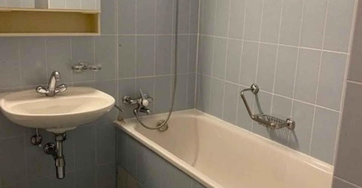 Charmant Appartement Sous Les Toits à Genève - Photo 6 sur 7