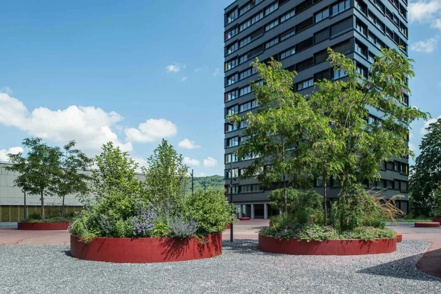 Au cœur de la ville et pourtant dans la verdure ! - Photo 1 sur 7