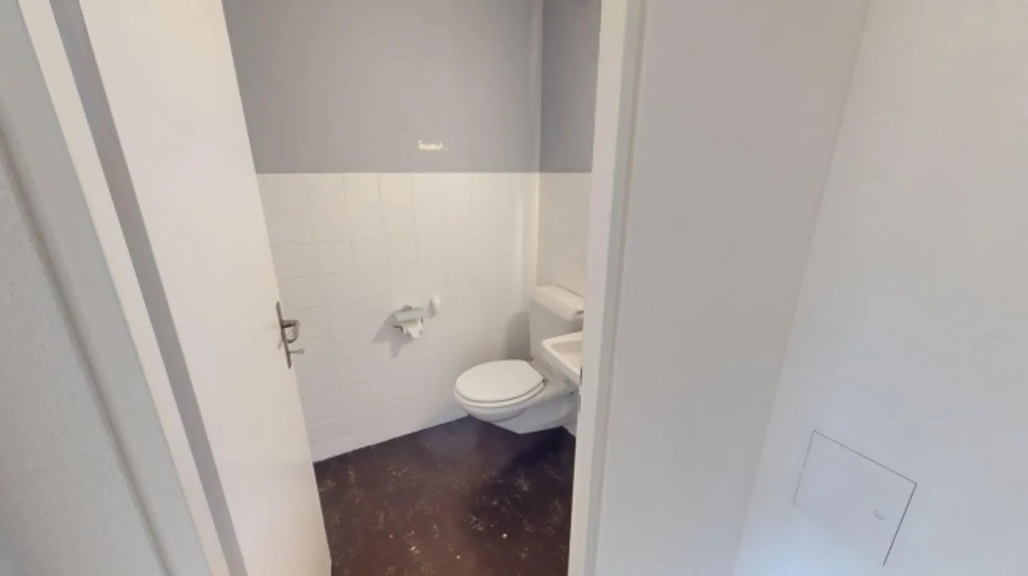 Ampio appartamento di 4 stanze vicino alla città di Basilea - Foto 11 di 13