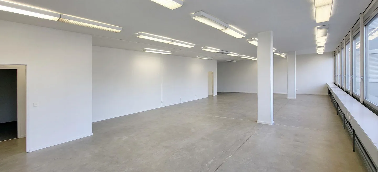 Espace commercial prêt à emménager avec une charge de sol de 1 000 kg/m² ! - Photo 4 sur 13