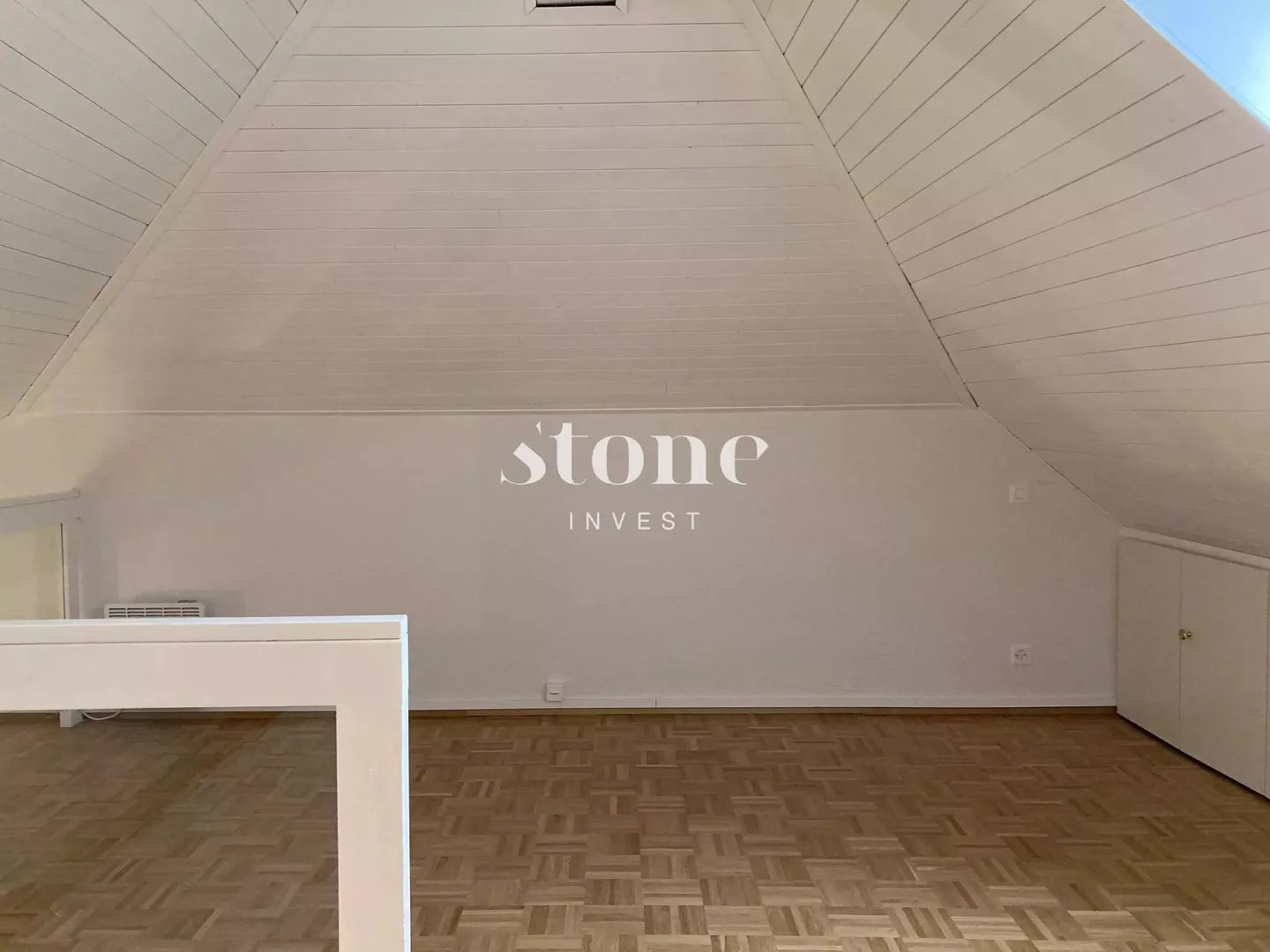 Magnificent DUPLEX on the 3rd floor in Carouge - Photo 3 of 11