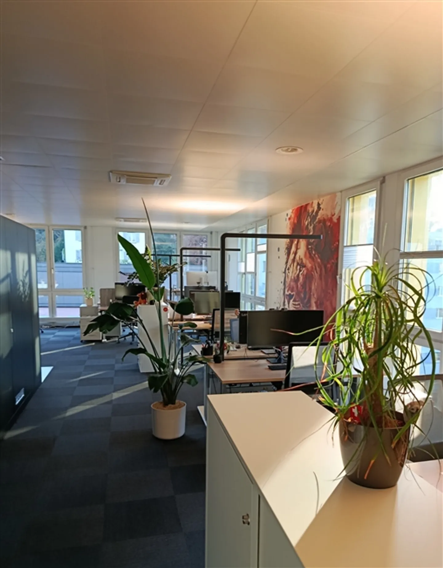 Modernes Büro zur Miete - Foto 2 von 5