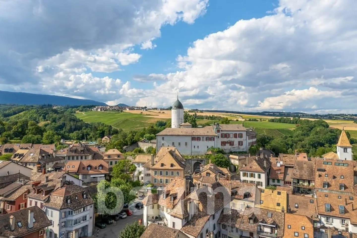 Maestosa casa di carattere con 10 stanze ad Aubonne - Foto 2 di 13