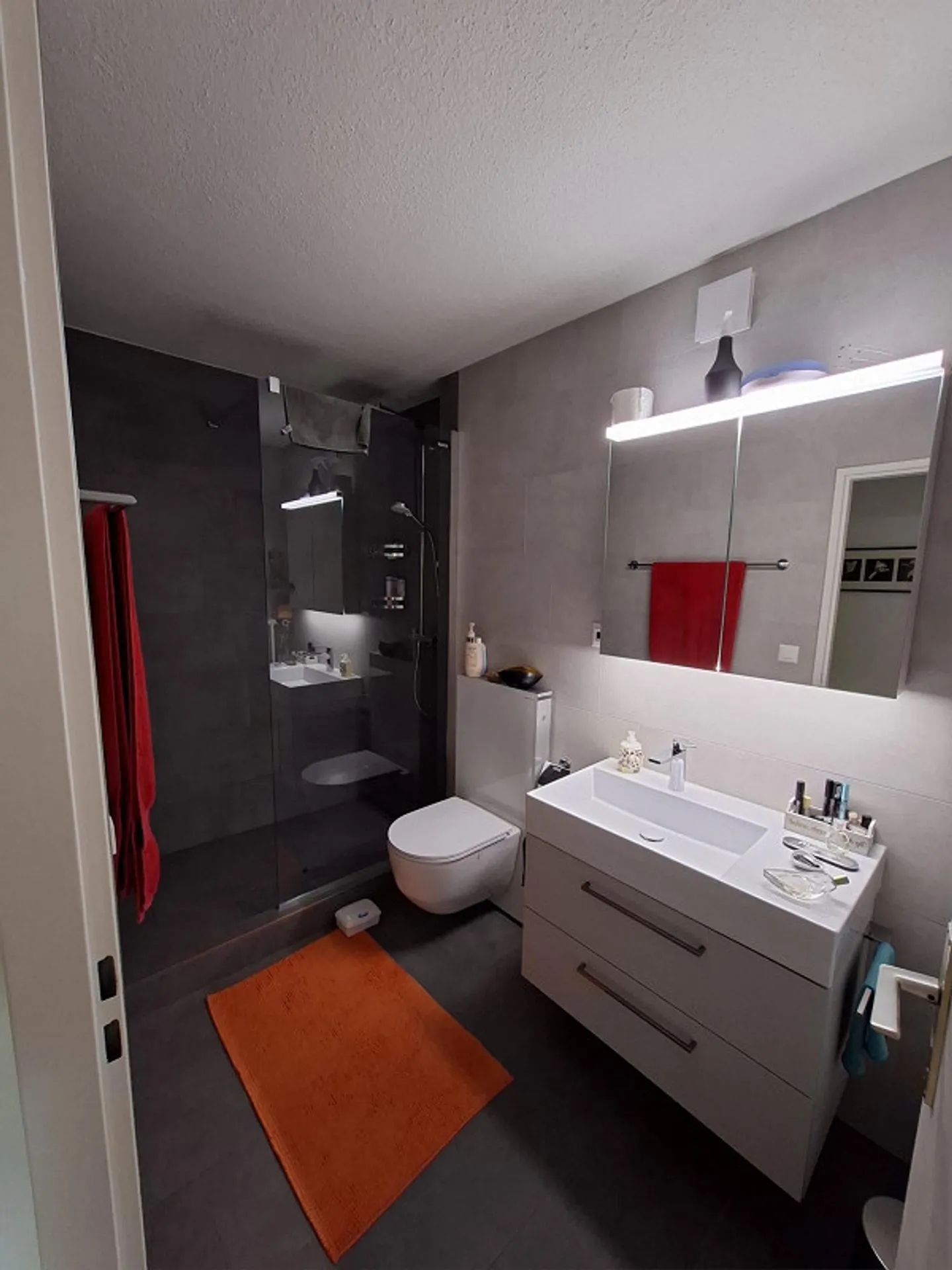 3.5 Room Apartment in Glarus - Photo 2 of 14