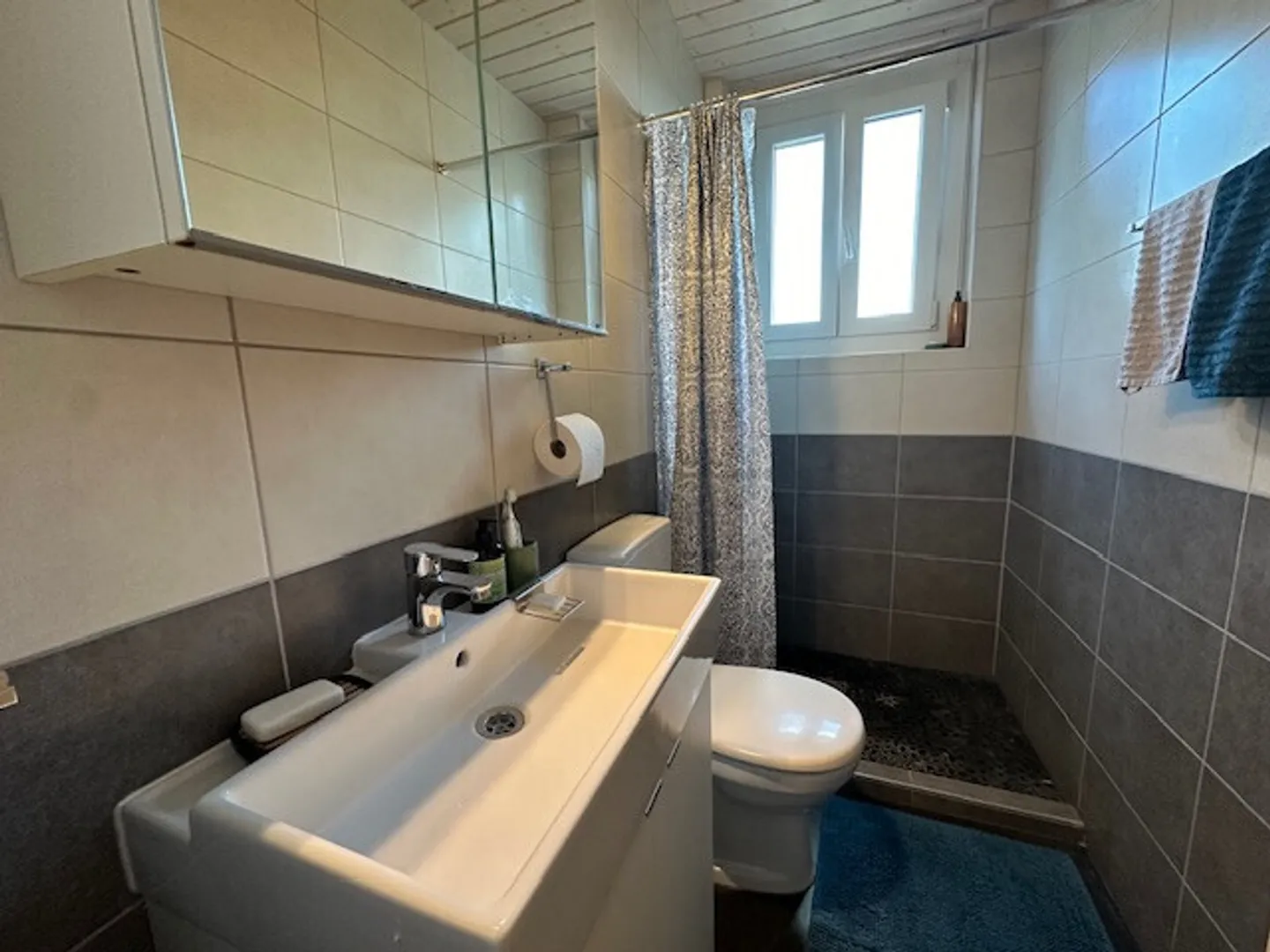 Room for rent in beautiful villa in the heart of Gland - Photo 4 of 8