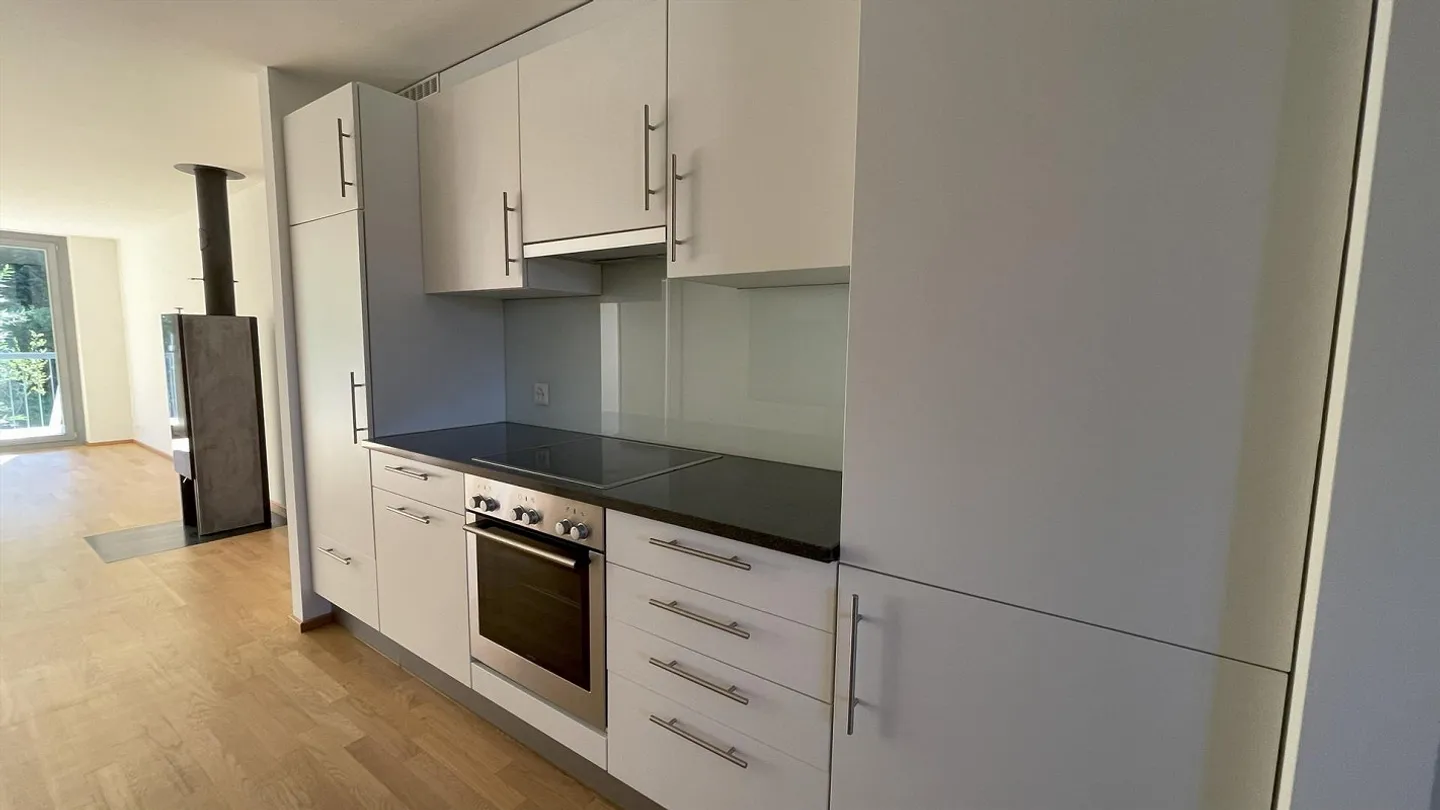 Renovated 3.5-room apartment with large terrace & wood stove - Photo 4 of 16