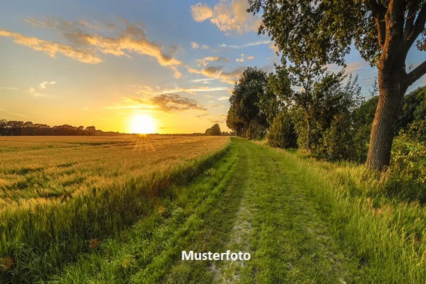 Fattoria in affitto - Foto 1 di 13
