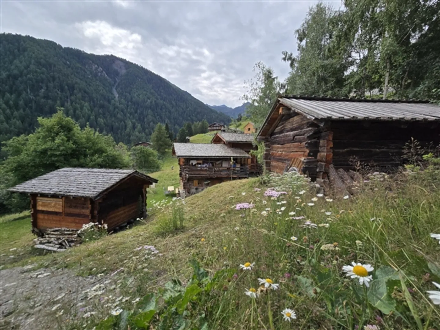 Mayen autentico a La Tzoumaz + i suoi 2 Mazots – Fascino e tranquillità nel cuore delle 4 valli - Foto 4 di 9