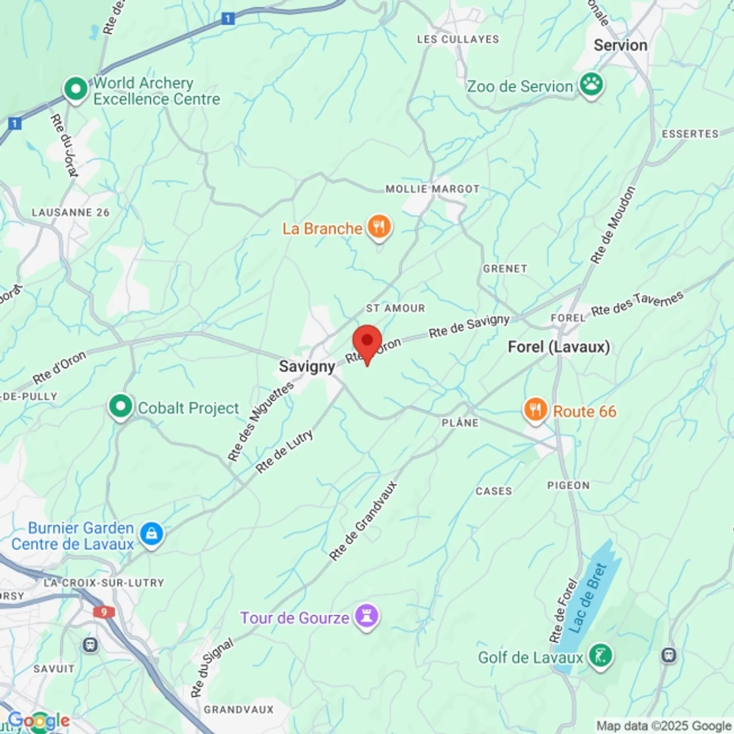 «A louer - Dépôt de 50m2 - Accès plain pied - 1073 Savigny» - Photo 2 sur 4