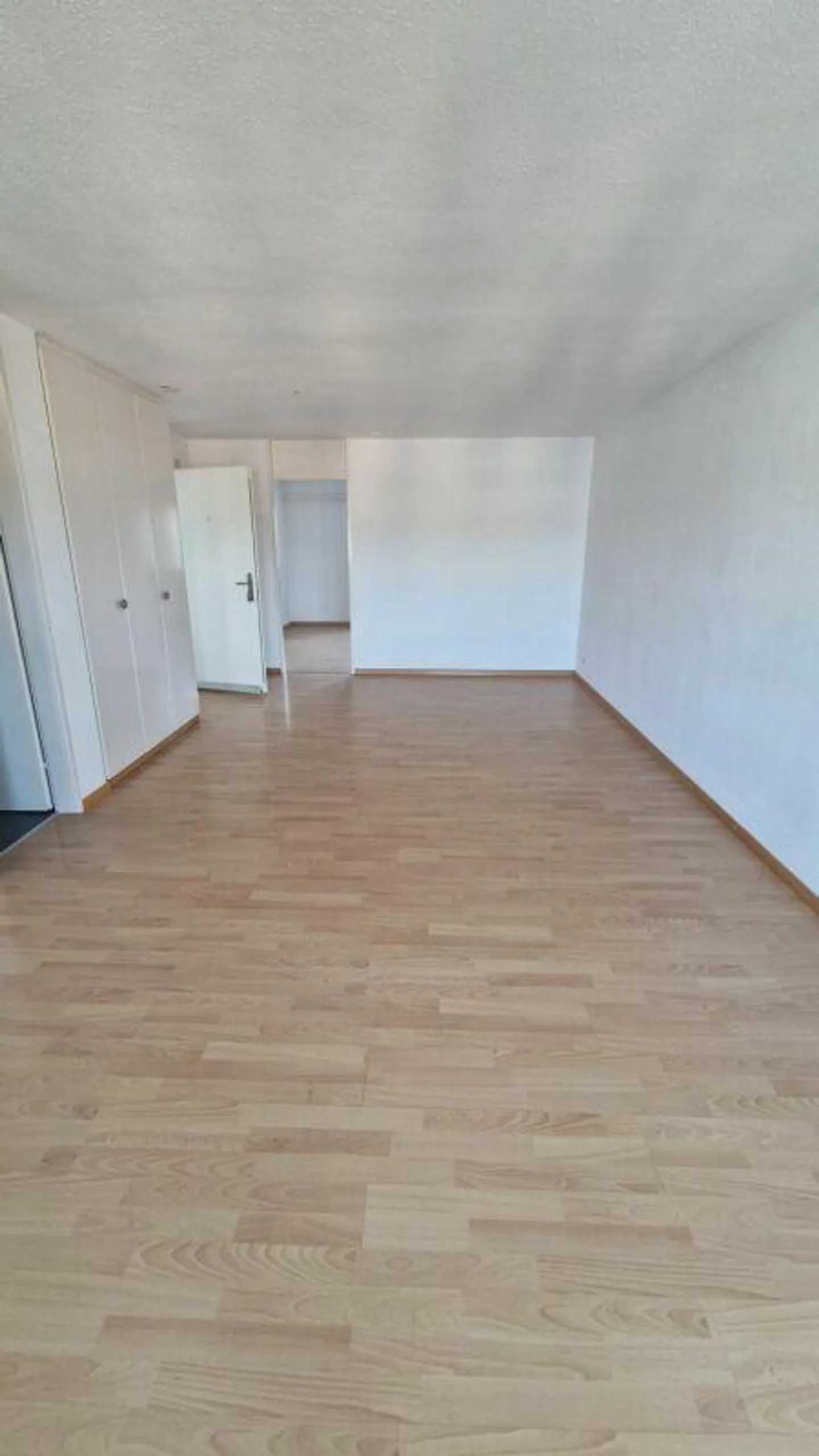 Appartamento di 2,5 stanze con charme - Foto 4 di 5