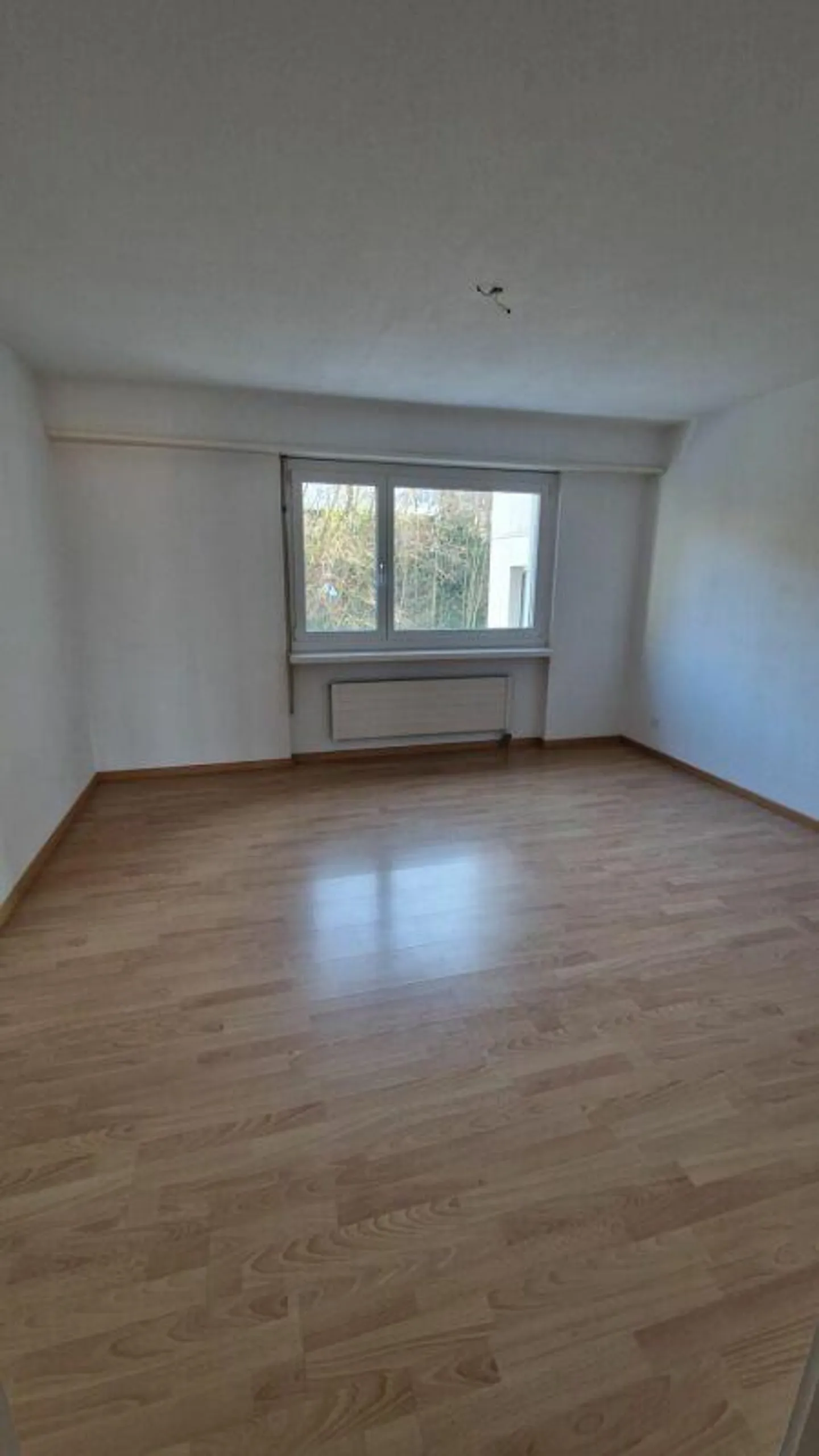 Appartamento di 2,5 stanze con charme - Foto 5 di 5
