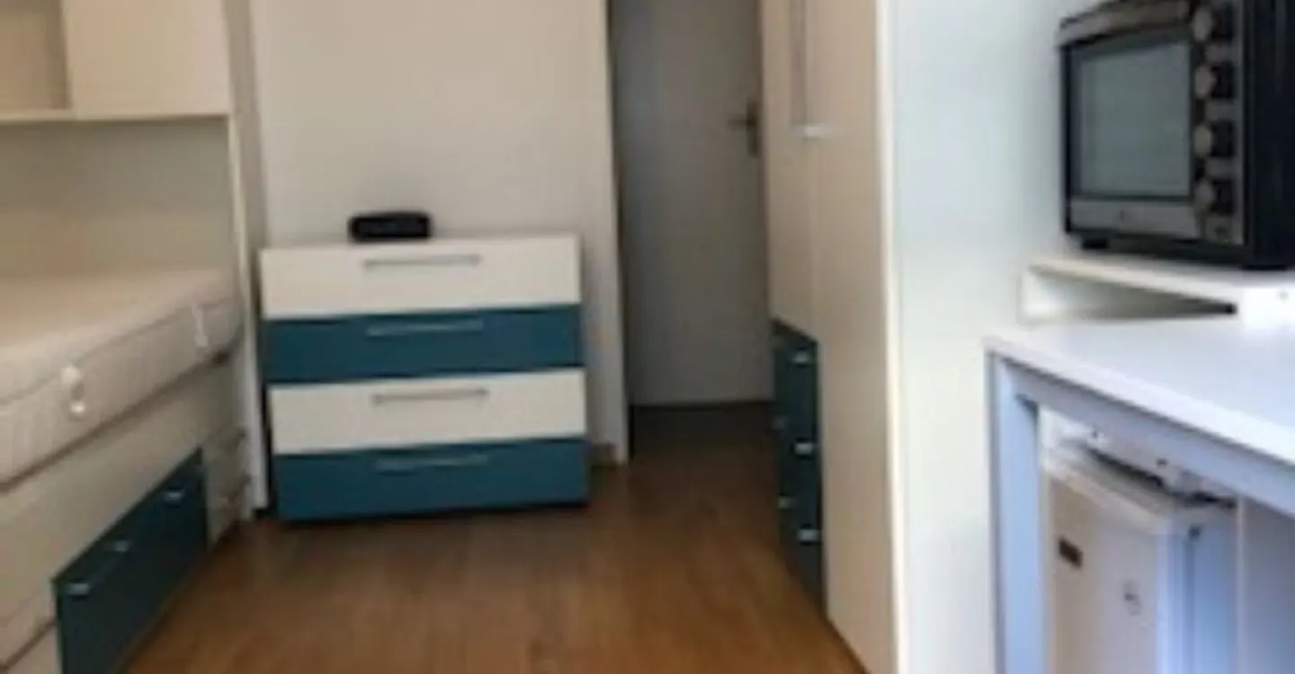 Charming furnished studio - Photo 2 of 6