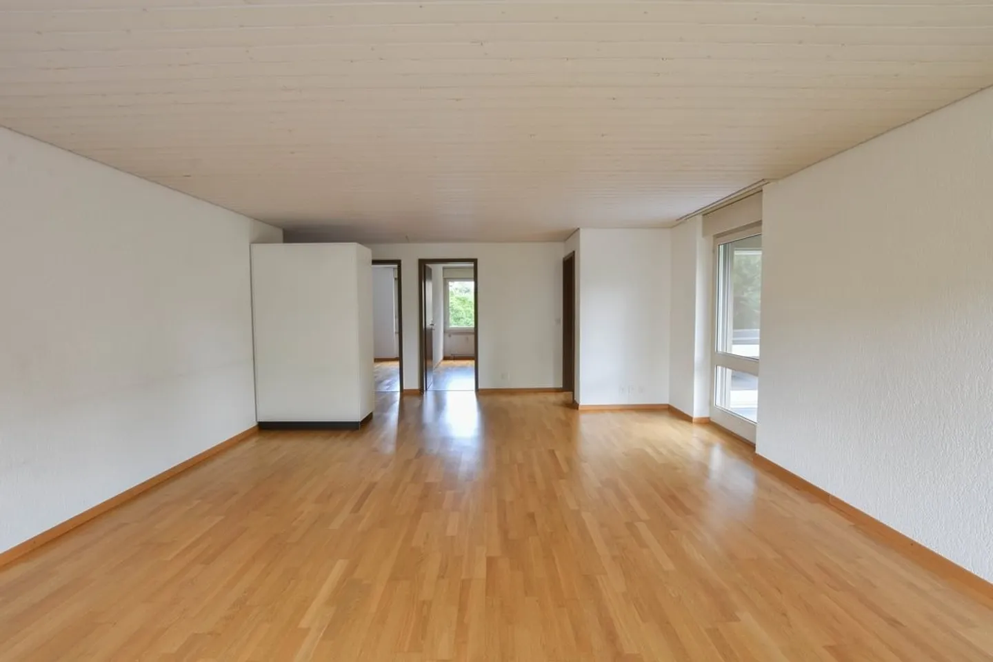 Charming 4.5-Room Apartment - Photo 3 of 12