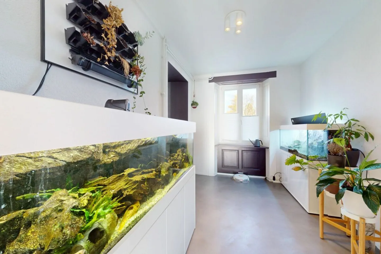 Stilvolles Einfamilienhaus mit Einlegerwohnung- renoviert, hell und heimelig - Foto 6 von 22