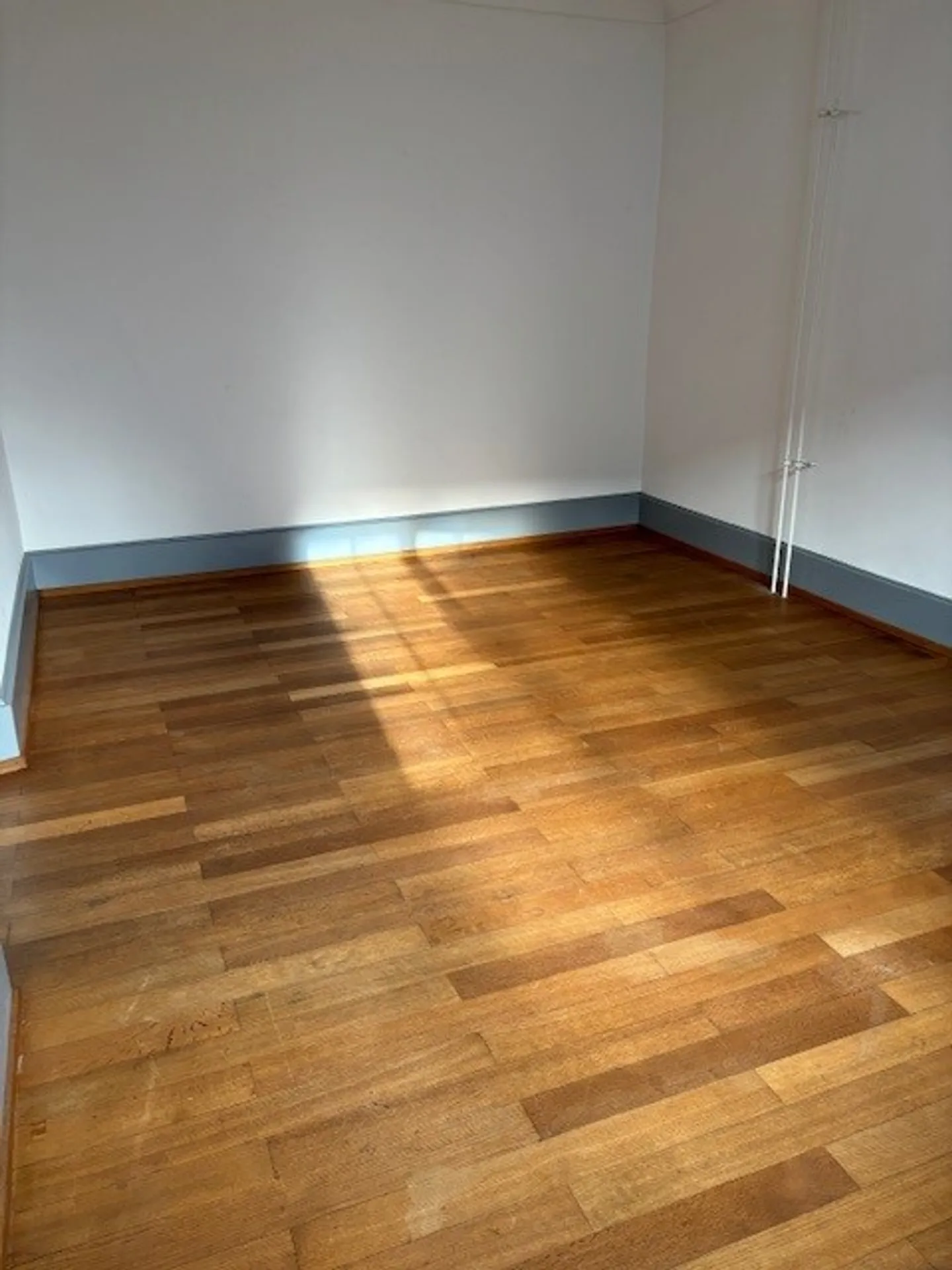 Incantevole appartamento di 4 stanze in un ambiente storico - Foto 12 di 25