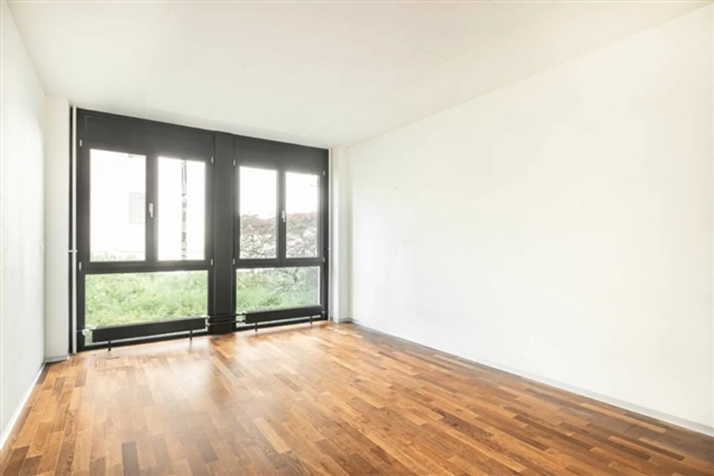 Your office space near the train station and lake - Photo 8 of 12