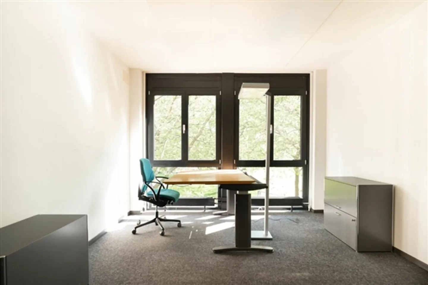 Your office space near the train station and lake - Photo 12 of 12