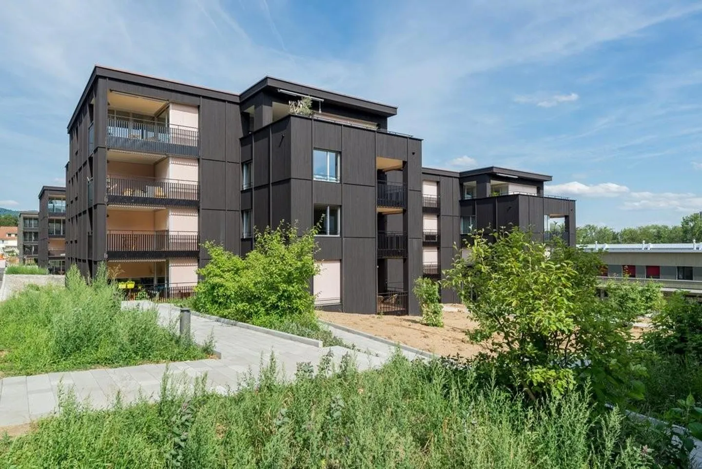 Au milieu du verger - dans un environnement merveilleusement vert - Photo 1 sur 10