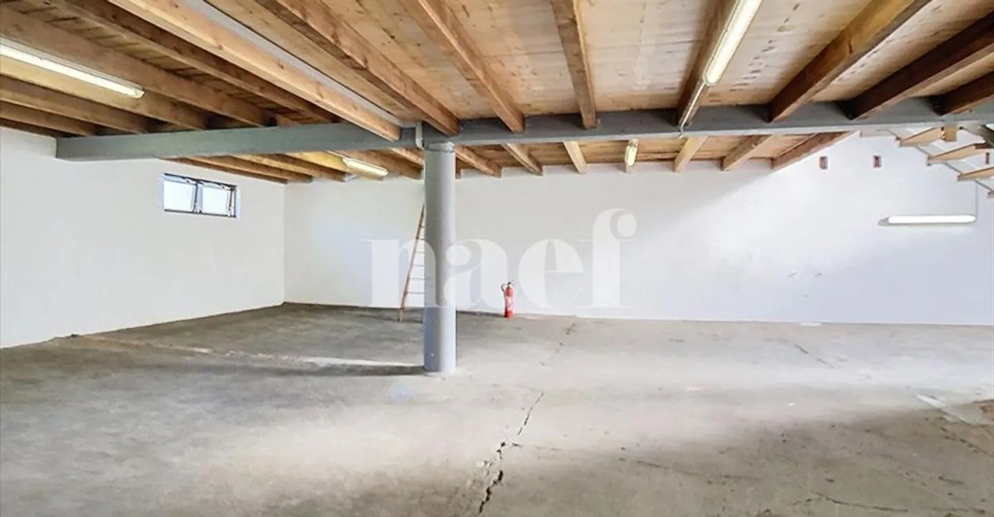 Immeuble mixte à louer - Photo 3 sur 13