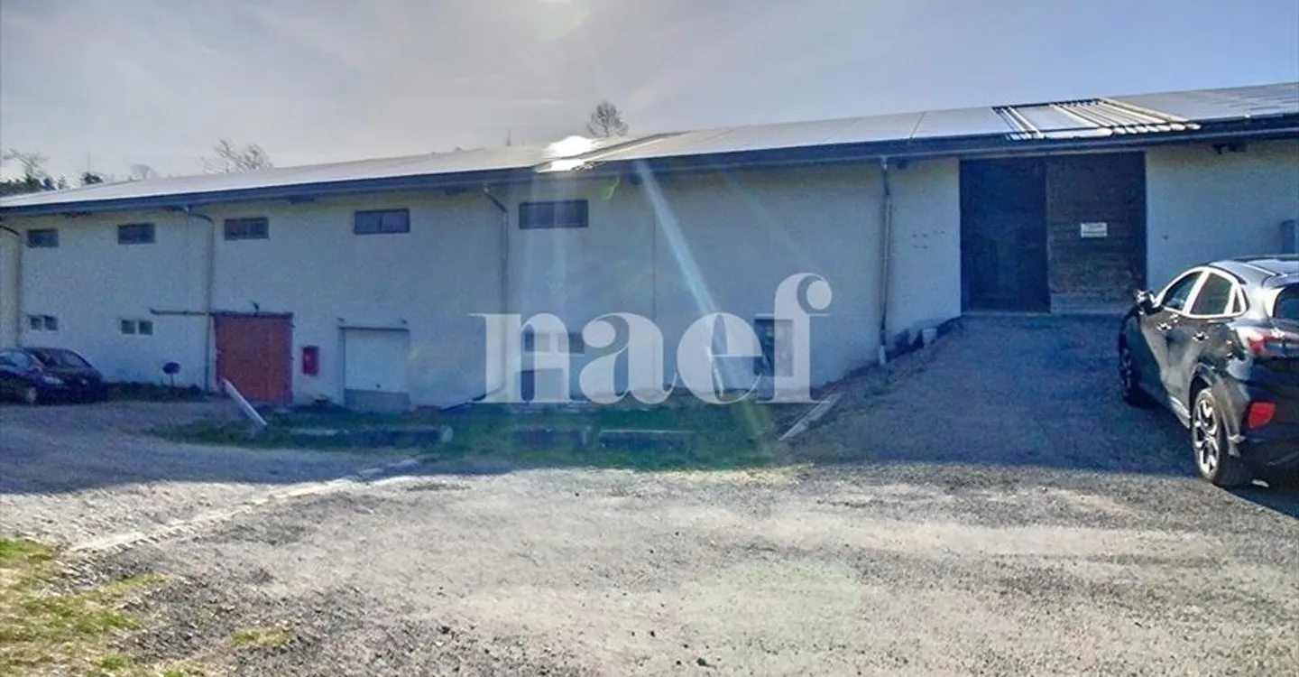 Immeuble mixte à louer - Photo 7 sur 13