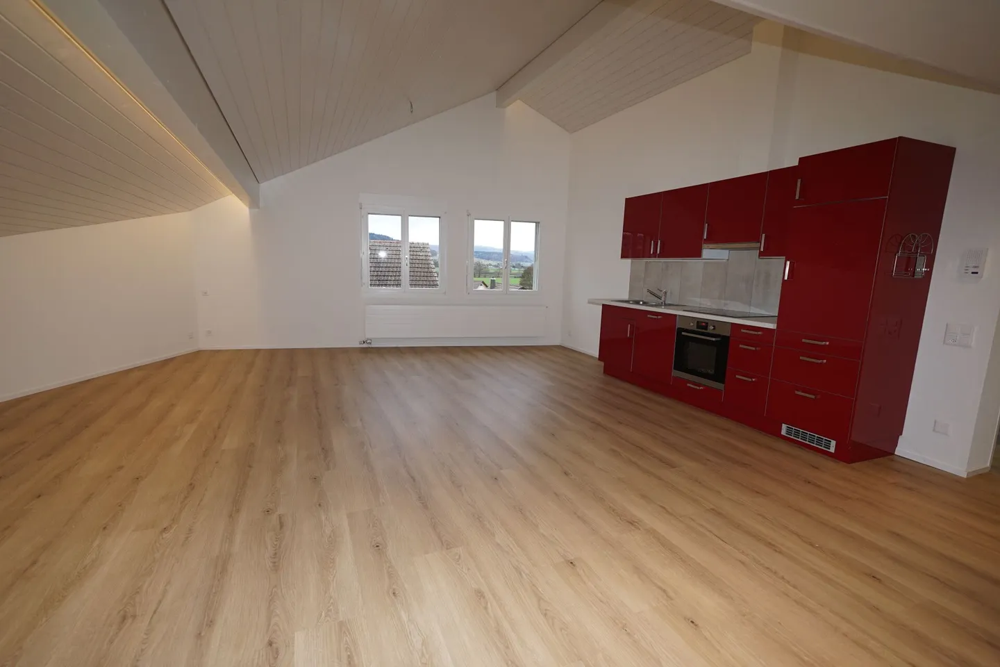 Modern and Charming 2.5 Room Attic Apartment - Photo 3 of 9