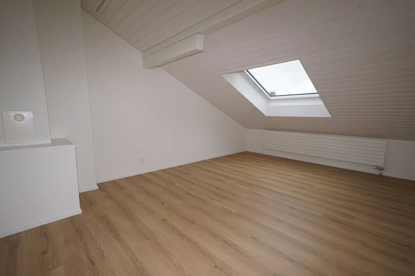 Modern and Charming 2.5 Room Attic Apartment - Photo 4 of 9