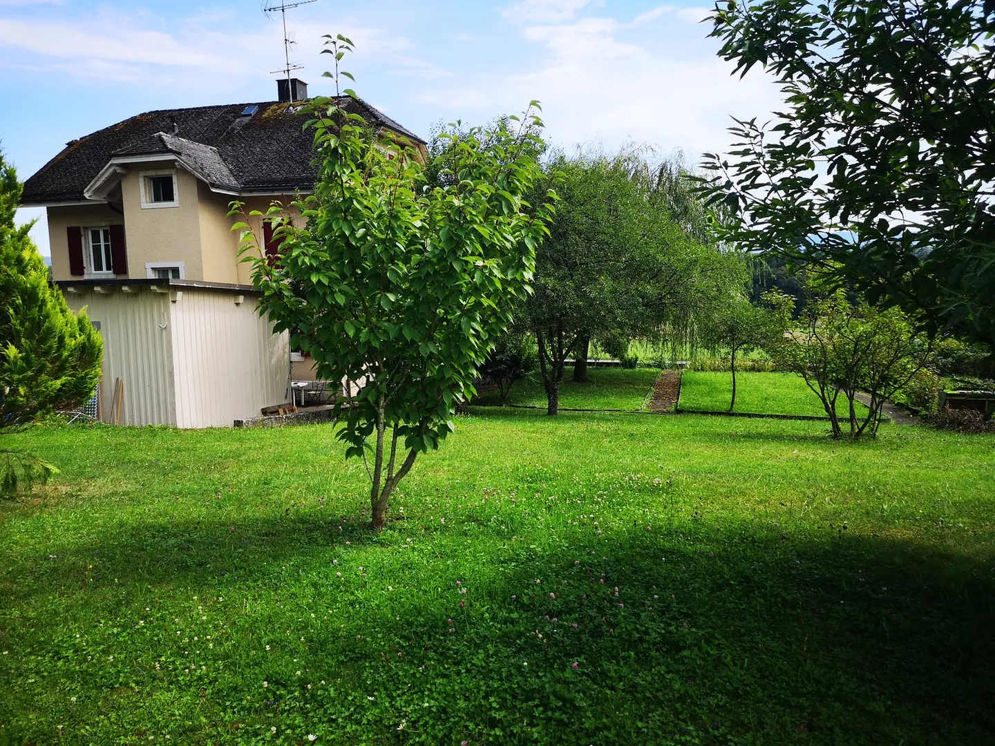 Charmante 3.5-Zimmer-Wohnung - Foto 4 von 24