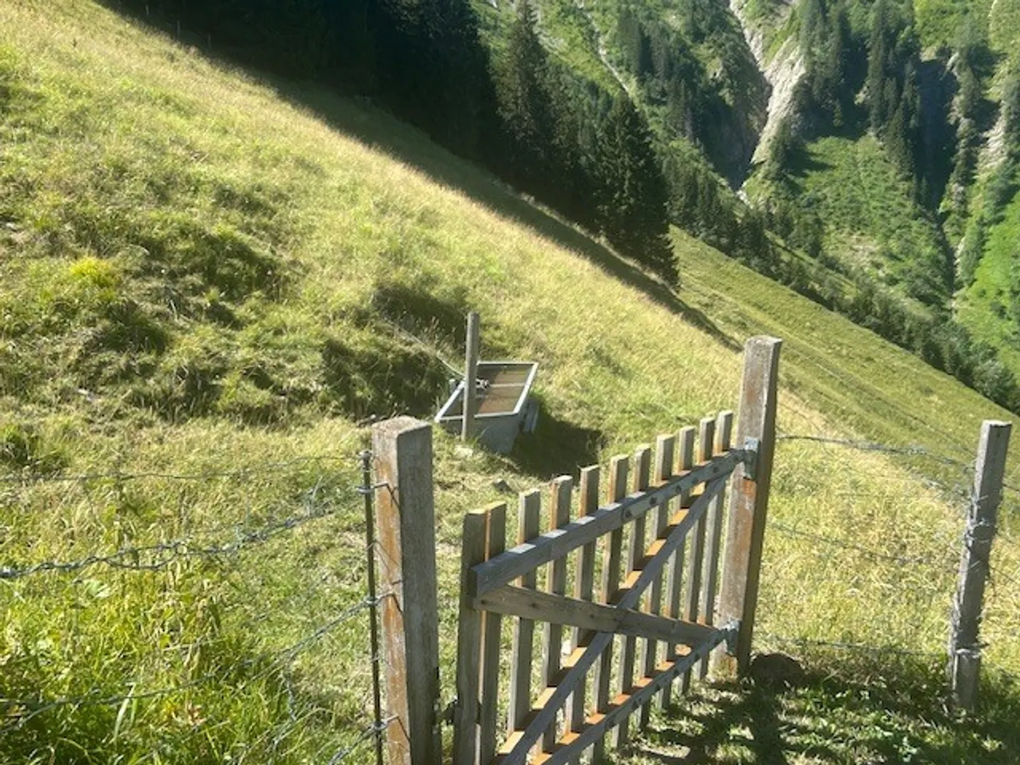 Charmantes Alpenchalet - Foto 11 von 28