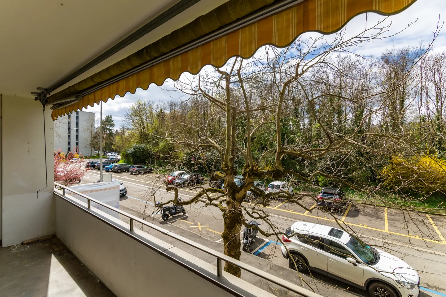 Bel appartamento di 3,5 stanze a Versoix - Foto 11 di 14