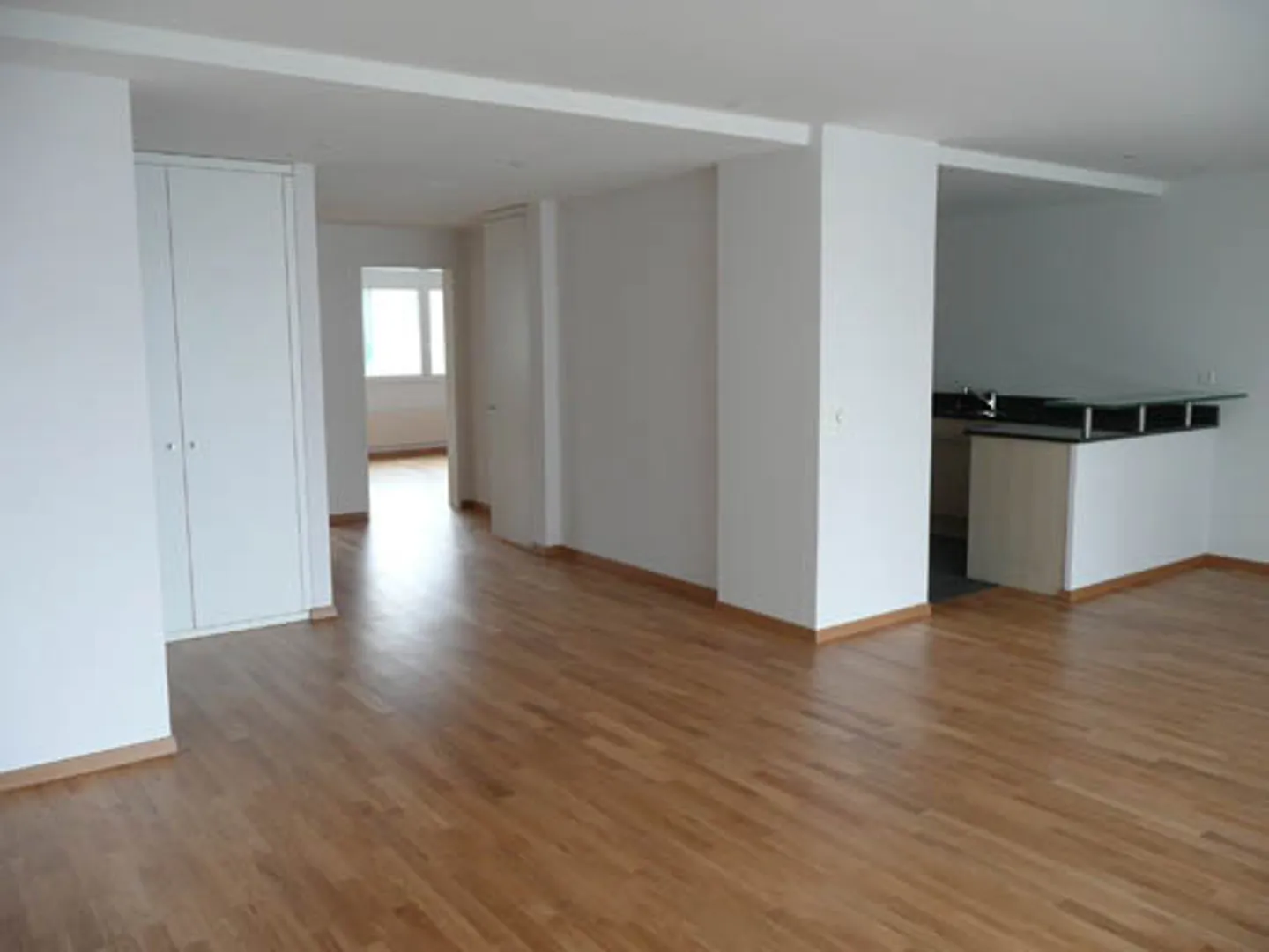 Charming Apartment in Zurich Seefeld - Photo 3 of 6