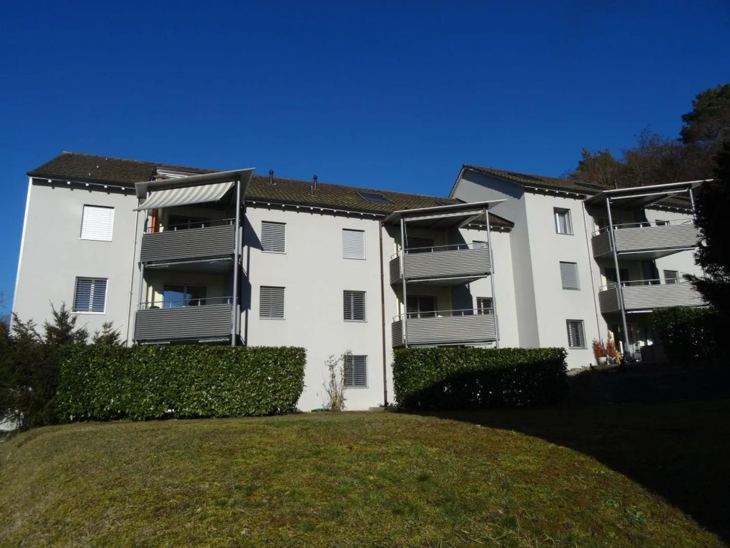 Geräumige Wohnung in ruhiger Lage - Foto 1 von 8