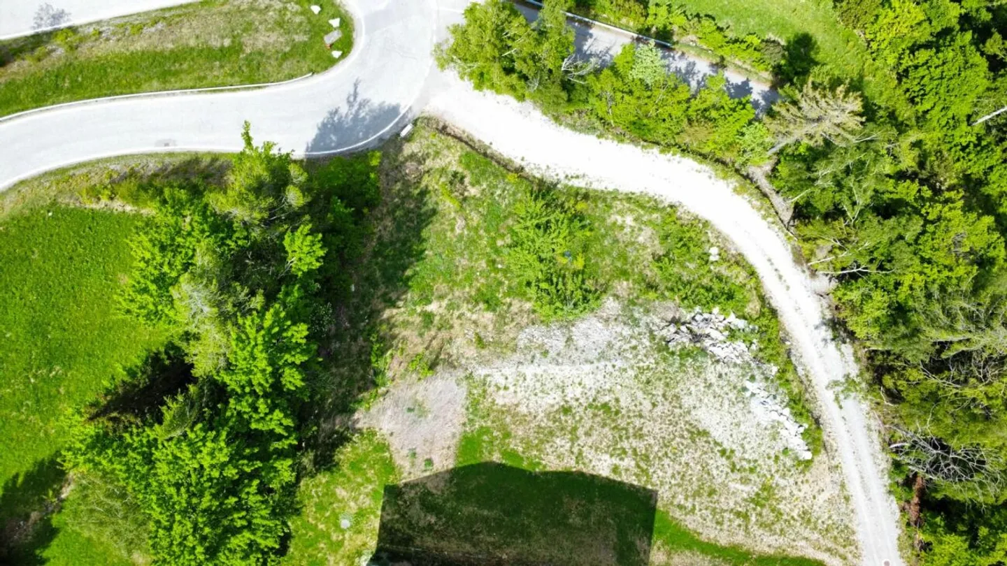 Charming Building Lot in Nature - Photo 6 of 6