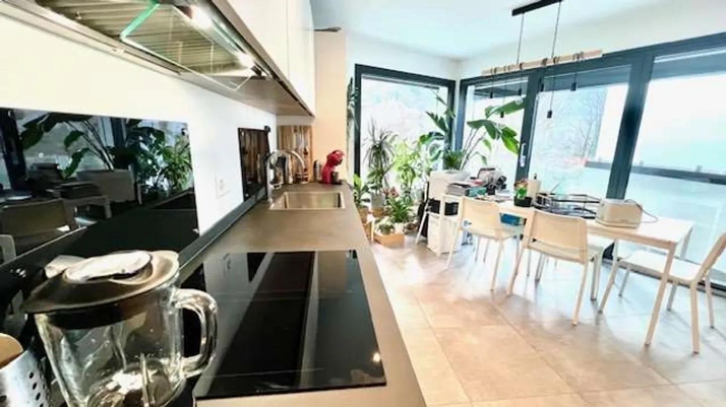 «Neue Villa mit Garten» - Foto 17 von 20