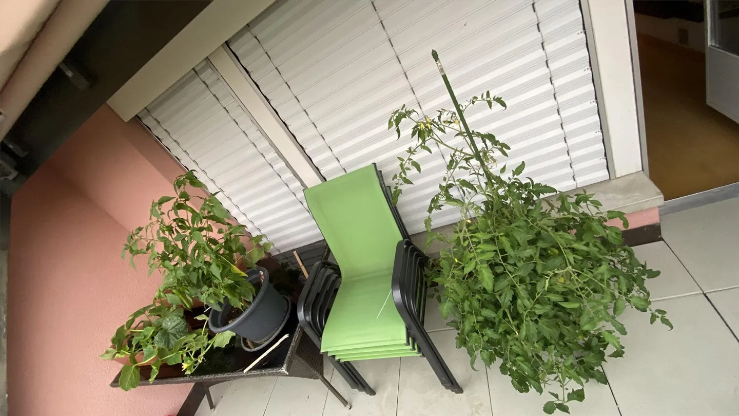 Suche Nachmieter für WG - Foto 1 von 6