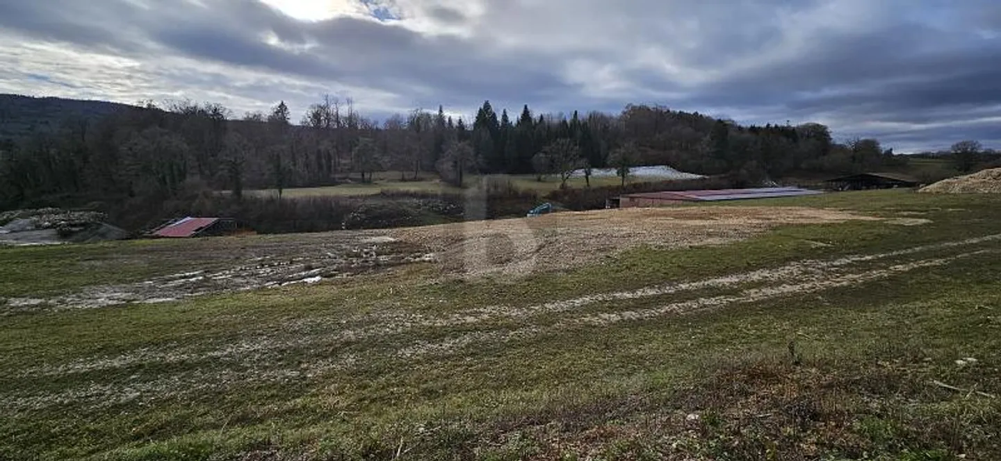 Commercial à louer - Photo 2 sur 4