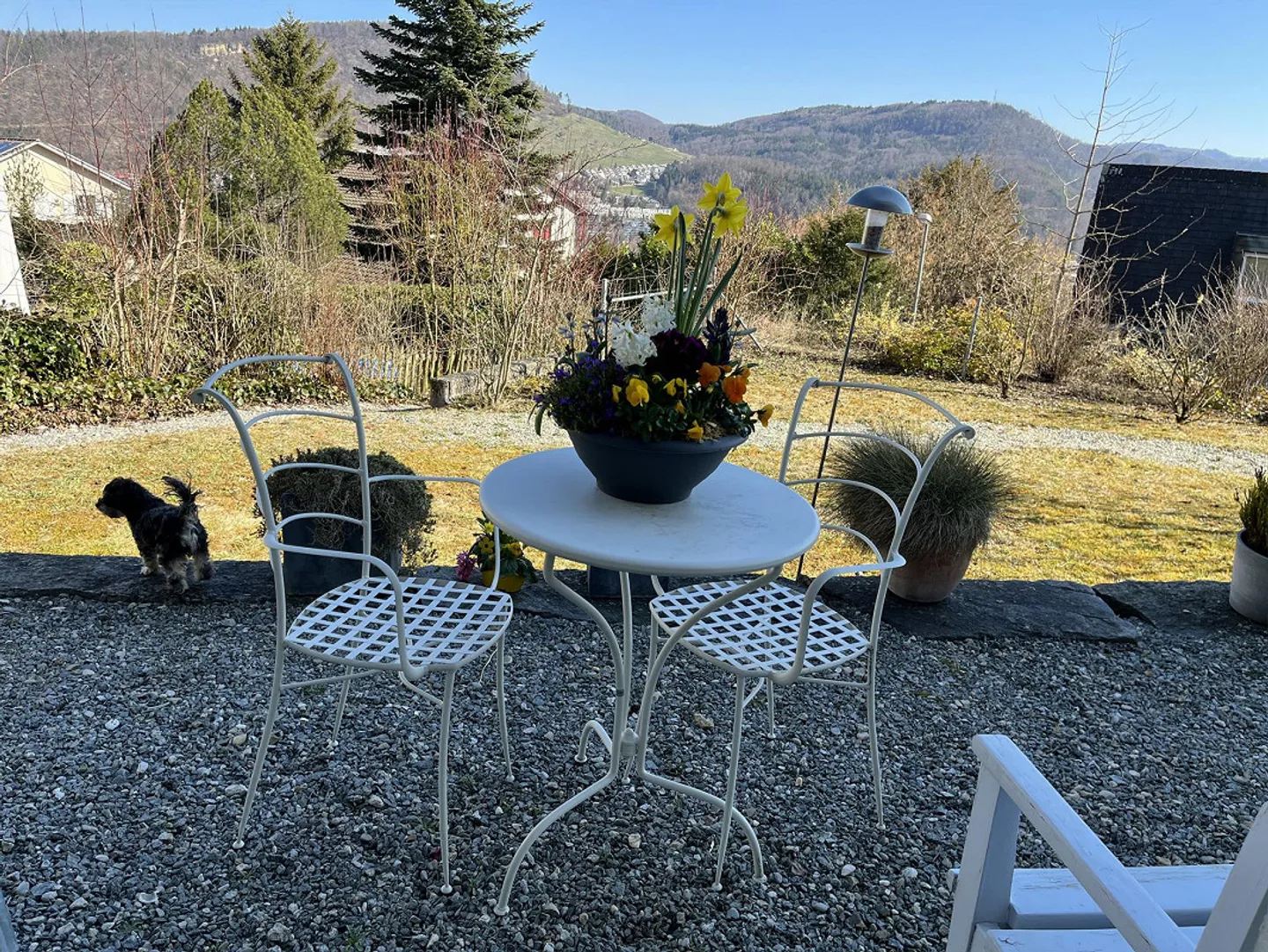 Bright modern 2.5 room apartment with garden share - Photo 5 of 12