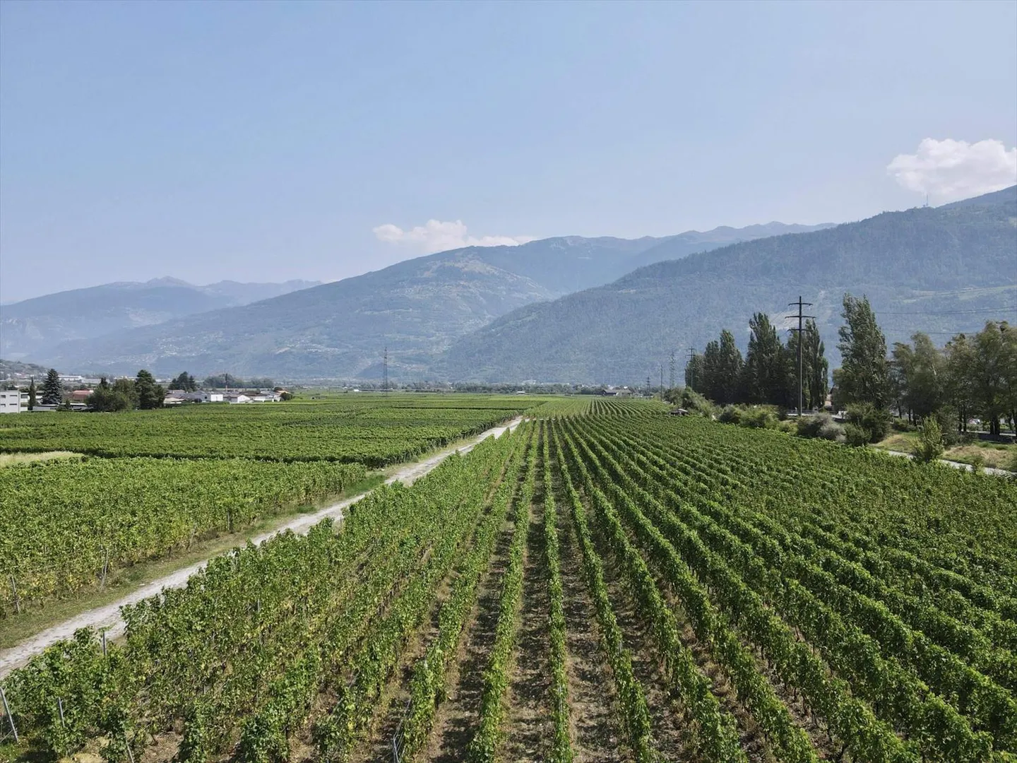 Les Amignes - 4.5 Chambres - Photo 4 sur 5