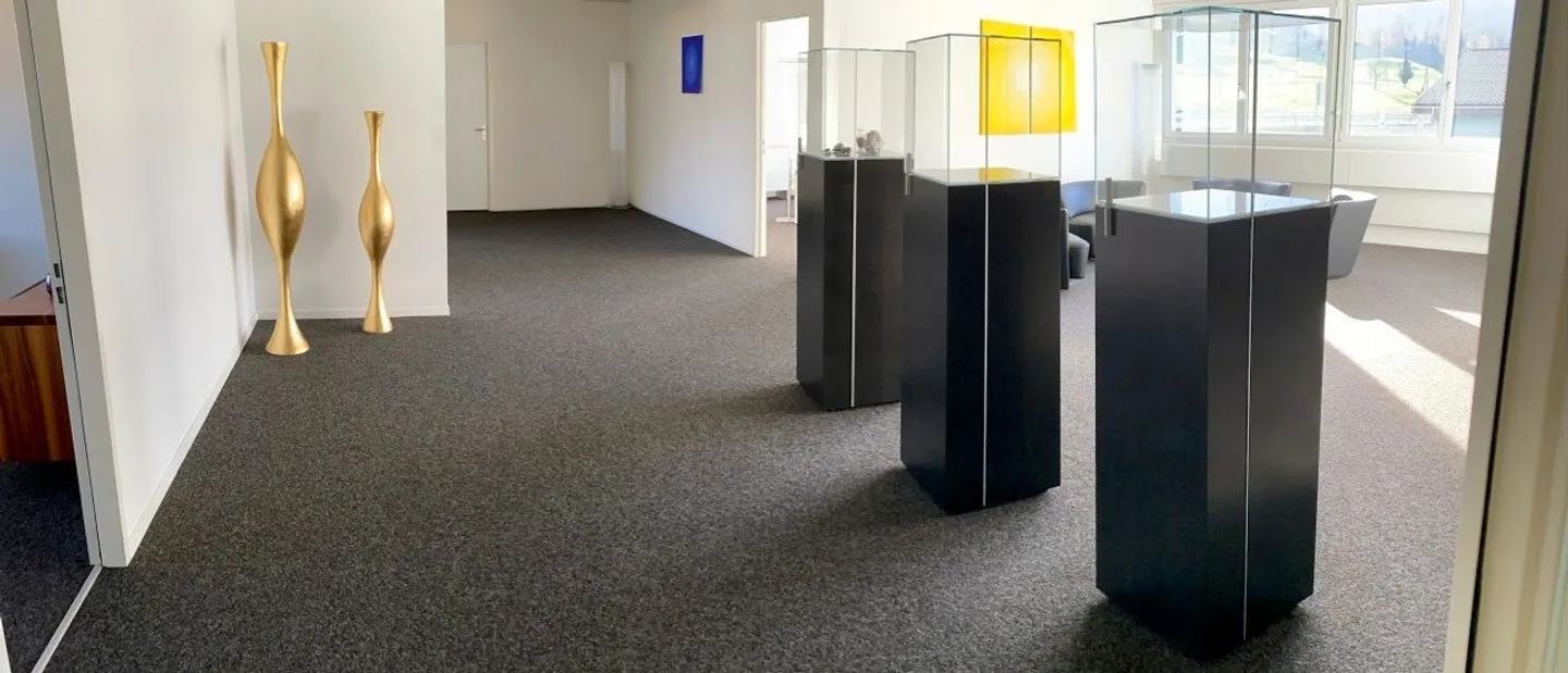 Uffici rappresentativi con vista sulle montagne - Possibilità di affitto di singoli locali e di superfici parziali - Foto 4 di 5