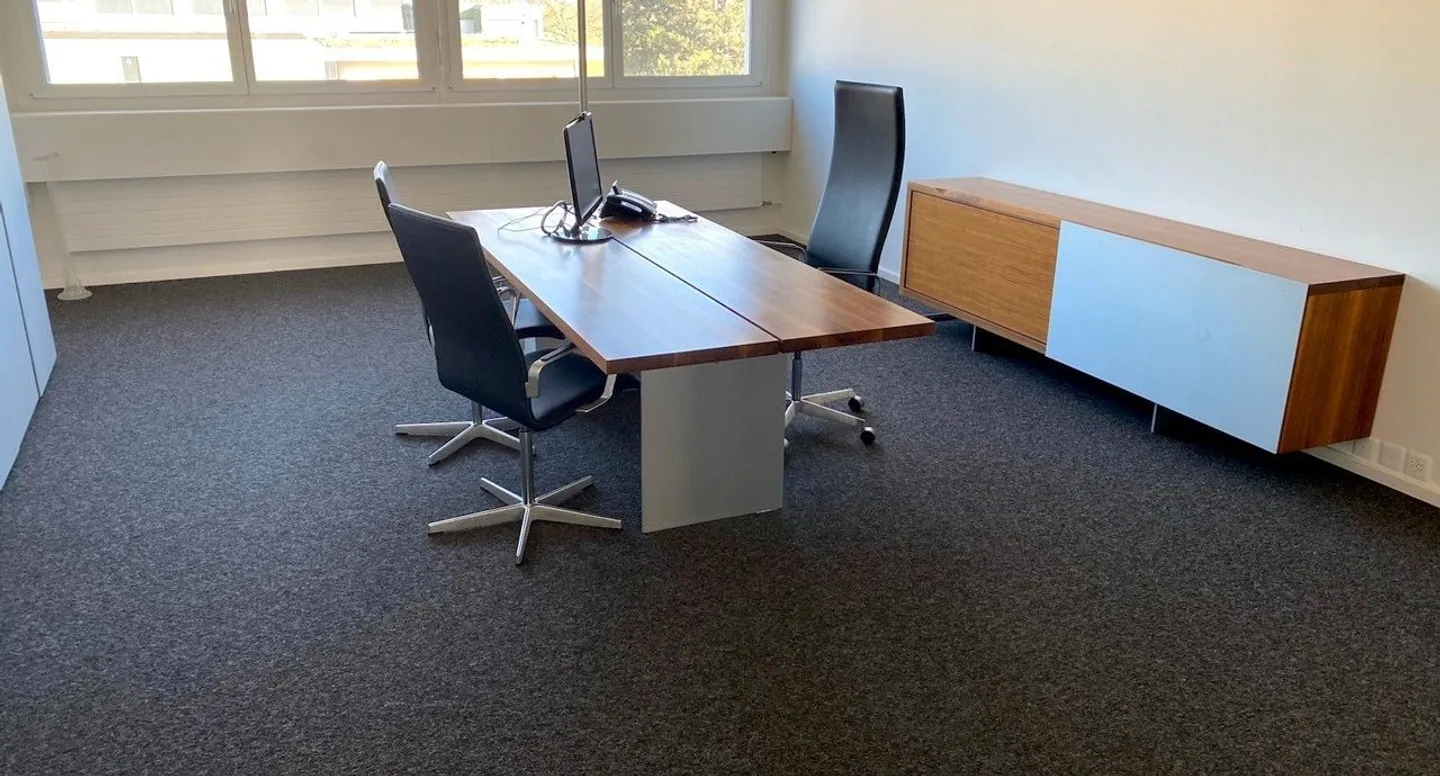 Uffici rappresentativi con vista sulle montagne - Possibilità di affitto di singoli locali e di superfici parziali - Foto 5 di 5