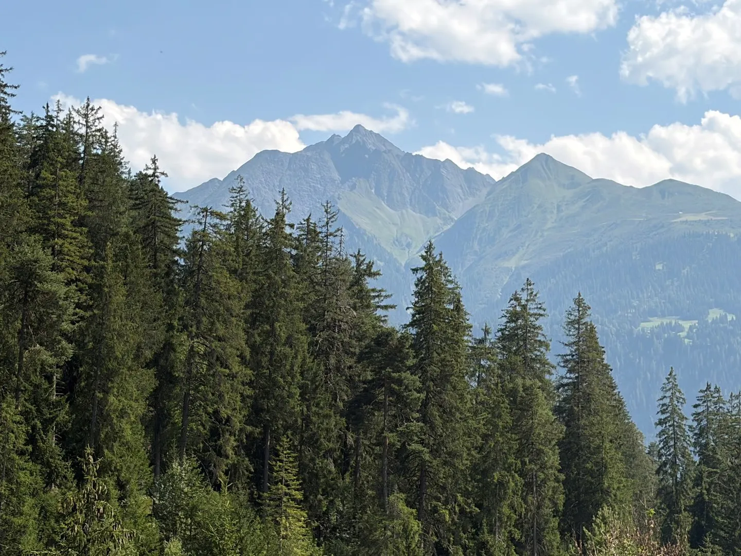 Charming 4.5-Room Apartment with Mountain Panorama in Laax - Photo 3 of 26