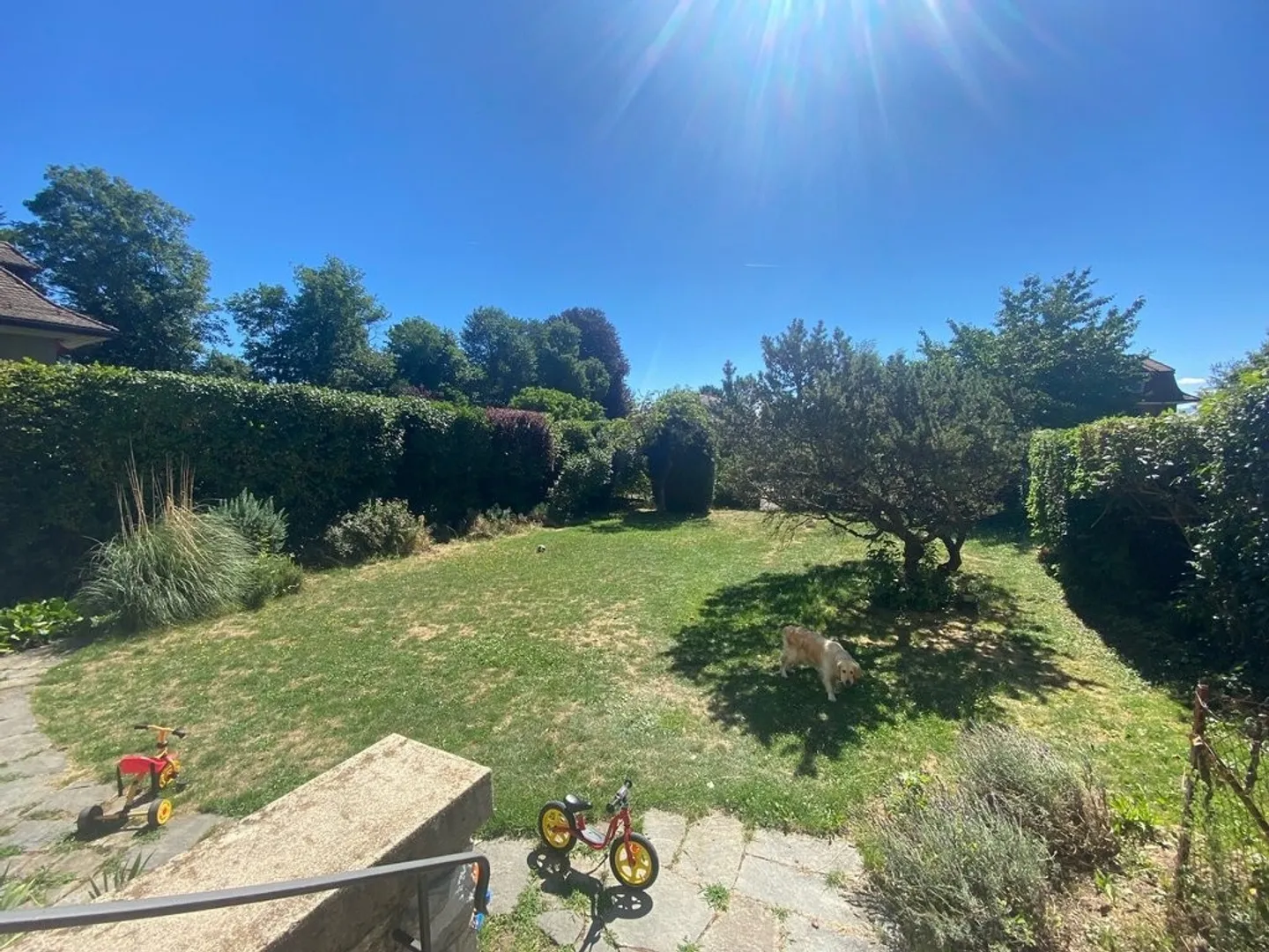 Appartamento 5 stanze - Foto 8 di 9