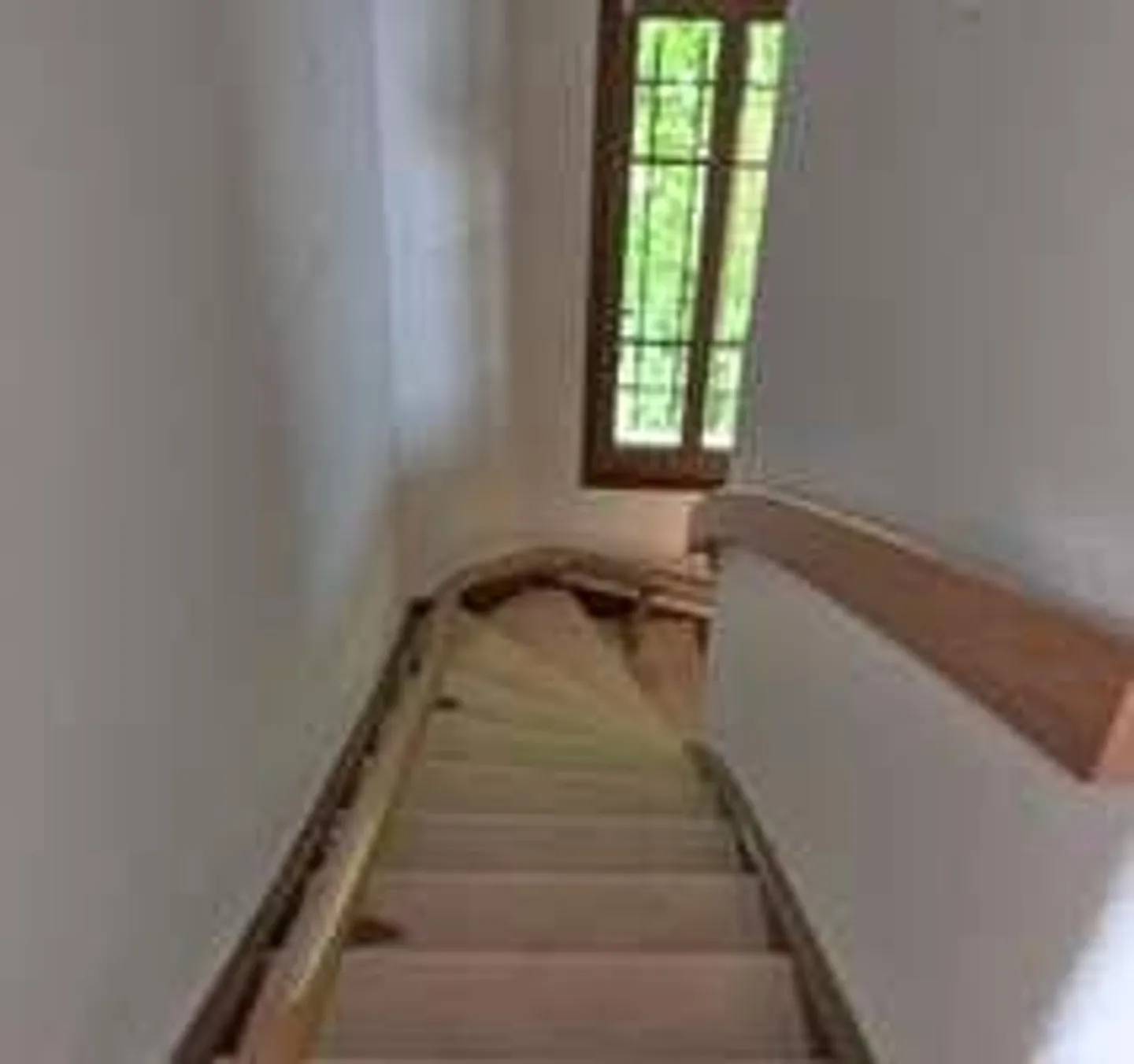 Villa su terreno da sogno al lago di Ginevra con accesso privato al lago - Foto 13 di 25
