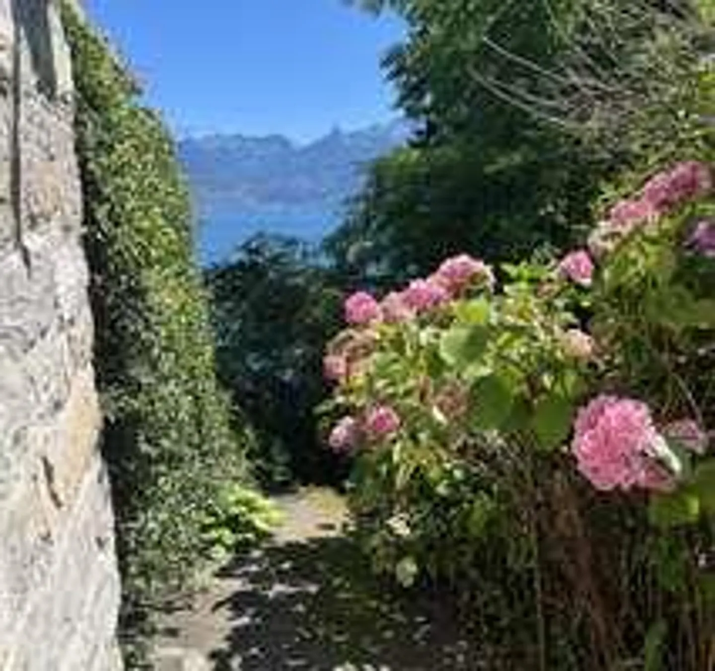 Villa su terreno da sogno al lago di Ginevra con accesso privato al lago - Foto 22 di 25